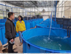 Aquaculture Fish Tank Flexible As Koi Fish Tank For Sale