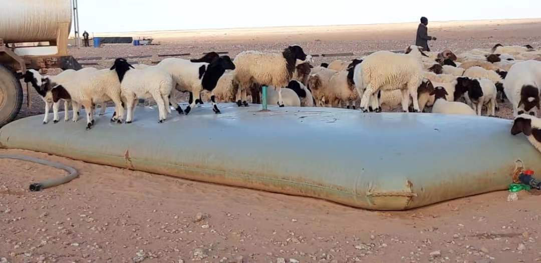 Discount Of Folding PVC Water Tank Bladder For Livestock Watering And Drinking In Libya