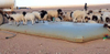 Flexible PVC Livestock Drinking Water Tank 30000 Liter Water Bladder Container Made In China